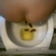 A woman is recorded shitting while sitting on a toilet from a hidden camera mounted on the ceiling looking down into the toilet - allowing us to see all of the action.